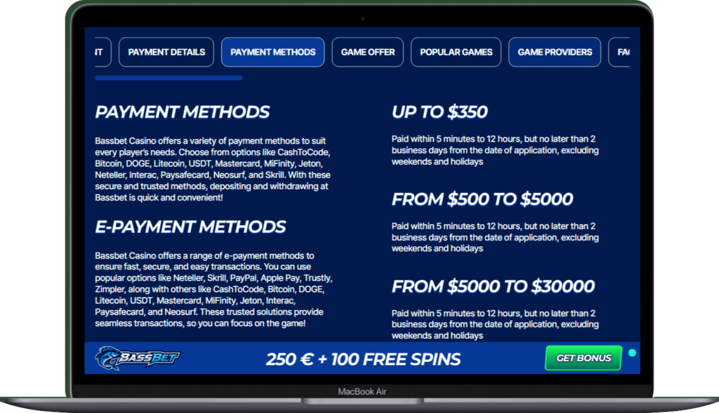 Payment Methods at BassBet Casino New Zealand